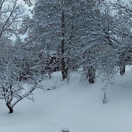 Joli Studio Sympa Saint-Jean-Saint-Nicolas Εξωτερικό φωτογραφία
